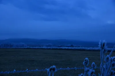 DSC_1103 (Large).JPG